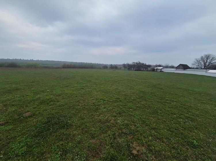 Teren extravilan de 2200 mp, în Lipoveni