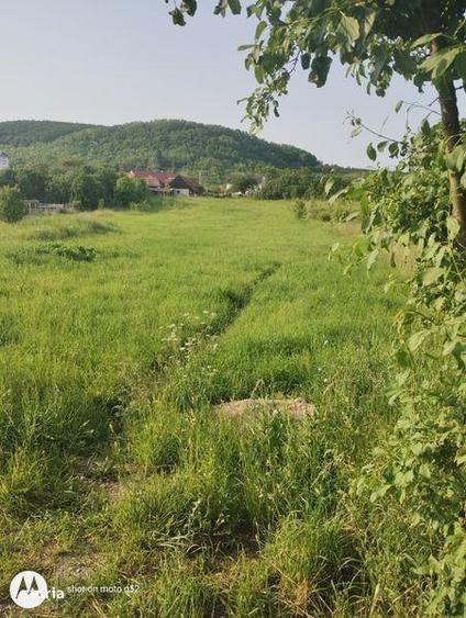 Teren de 4200 mp, în Aghireșu