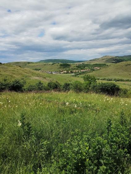 Teren de 2200 mp, în Rădaia