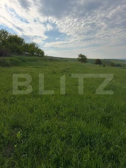 Teren Intravilan, 20 ari, Moara, Bulai - 1