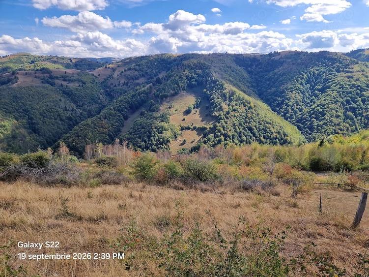 Teren de 7700 mp, în Mărișel