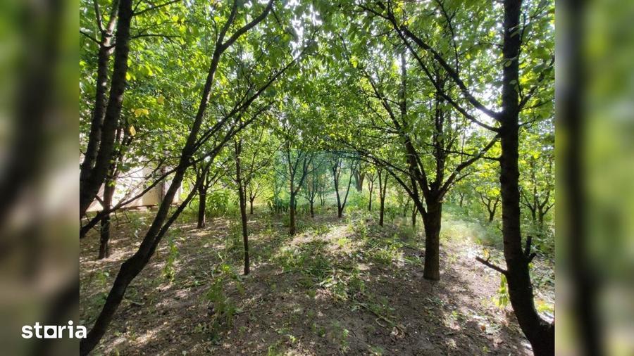 Casă cu 3 camere cu Teren 1203 Mp în Bulgaria