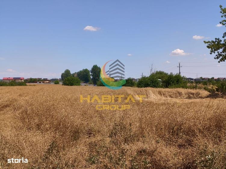 Spațiu comercial, în Vidra