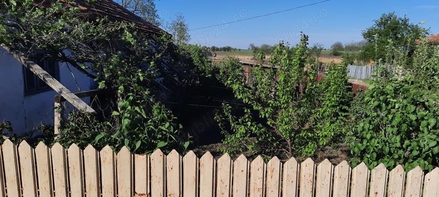Teren de 1500 mp, în Săgeata