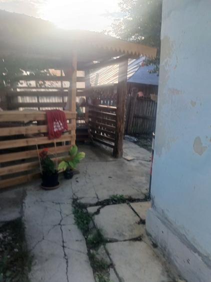 Casă cu 3 camere în Vedea