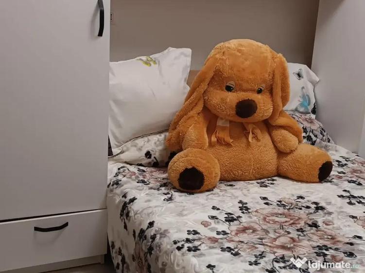 Casă cu 4 camere în Smârdan