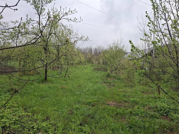 Teren de 3000 mp, în Predeal