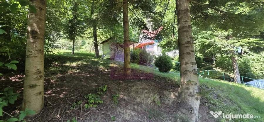 Teren în Furnica