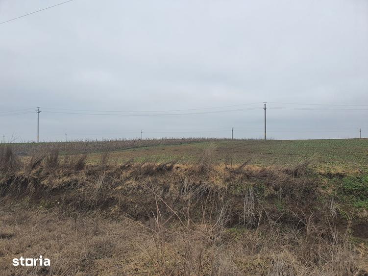 Teren de 140000 mp, în Albești