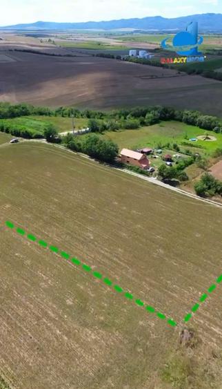Teren intravilan de 1633 mp, în Feldioara