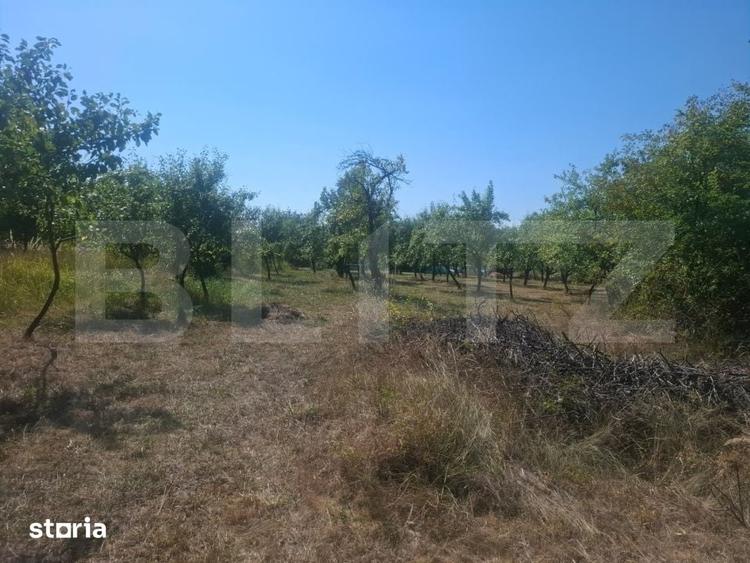 Teren de 2493 mp, în Cobia