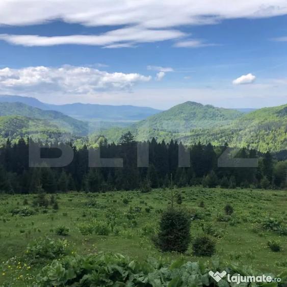 Teren de 2100 mp, în Central