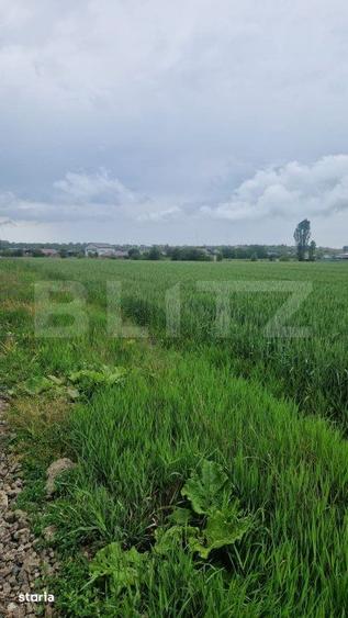 Teren pentru casa intravilan , 800 mp deschidere la drum Bod - 4