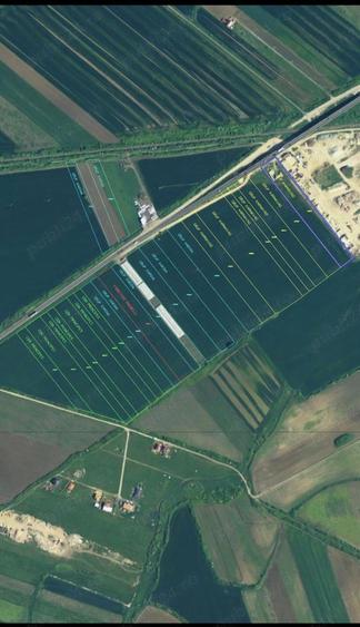 Teren de 175000 mp, în Remetea Mare