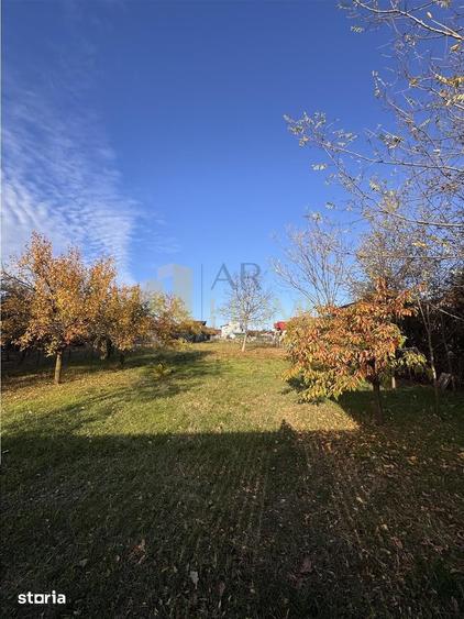 Teren de 1378 mp, în Păulești
