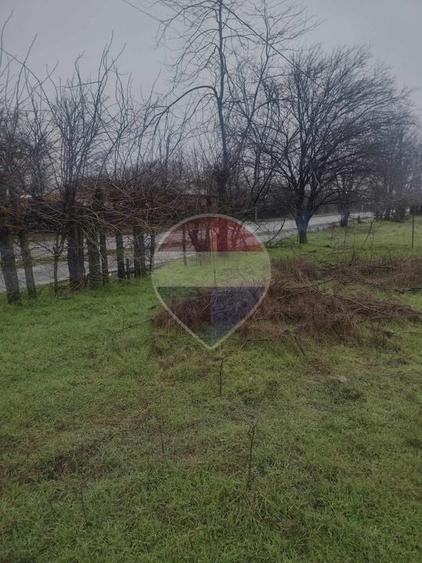 Teren agricol intravilan de 2205 mp, în Cocora