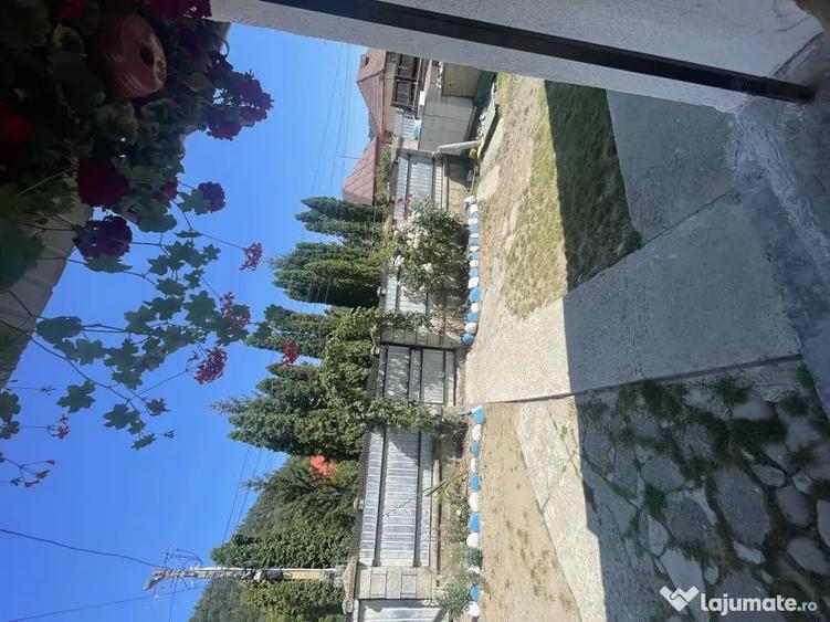 Casa de vanzare Jud Bacau Targu Ocna - 9