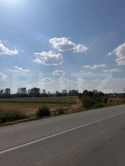 Teren de 9000 mp, în Nușfalău