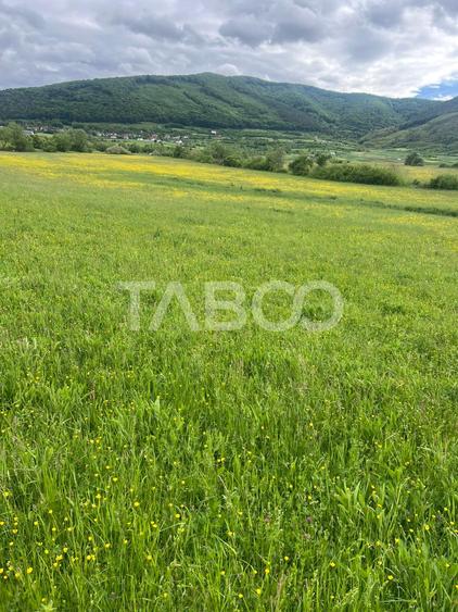 Teren agricol extravilan de 3600 mp, în Poplaca