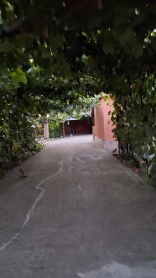 Casă cu 3 camere cu Teren 1300 Mp în Smeeni