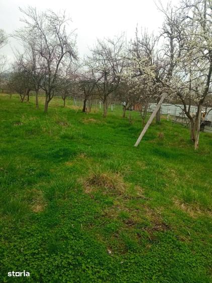 Teren de 2600 mp, în Domnești