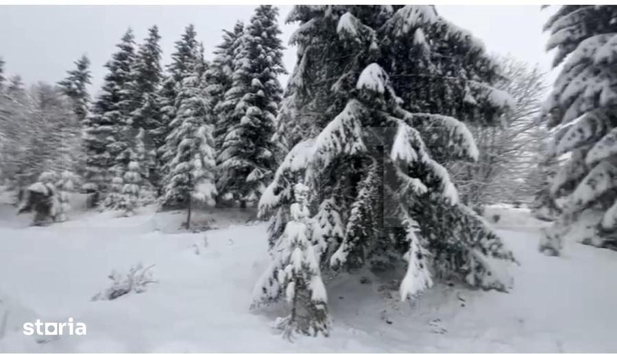Teren 10,75 ari, intravilan Colibita, cu utilitati - 3