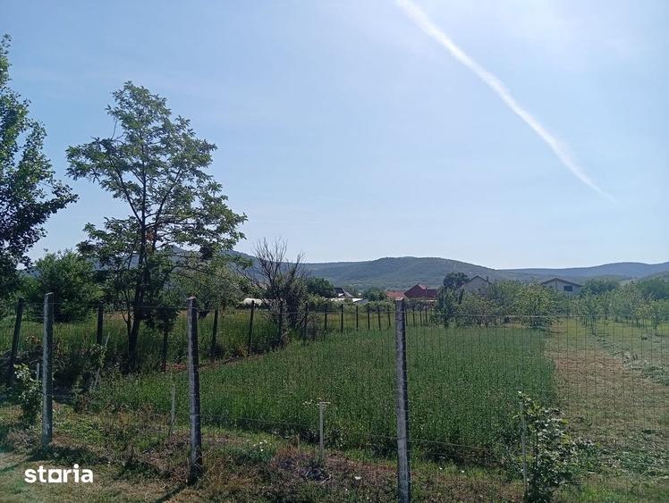 Teren de 1823 mp, în Șiria