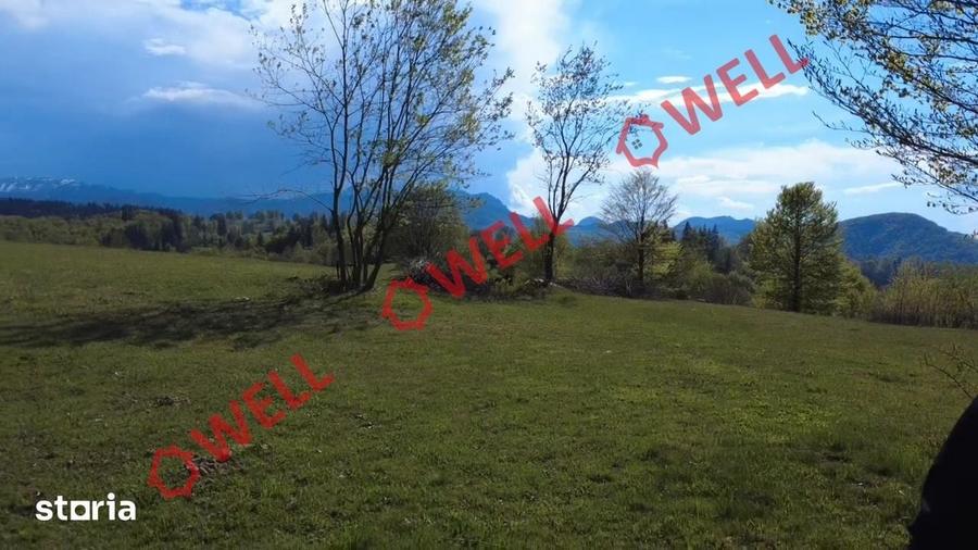 Teren de 2702 mp, în Vama Buzăului