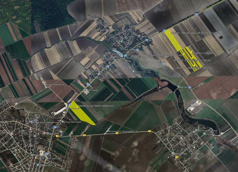 Teren Construcții intravilan de 66800 mp, în Dascălu