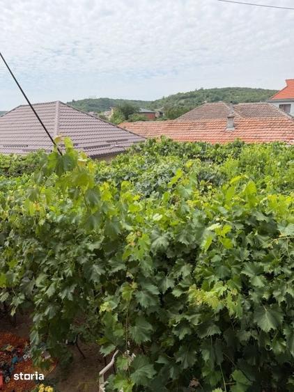 Casă cu 4 camere cu Teren 250 Mp în Podari