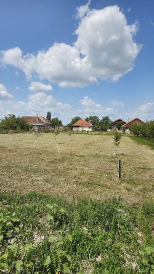 Casă  cu teren de 40 ari în localitatea Gelu - 7