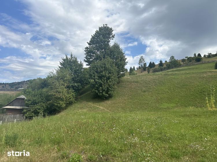 Teren intravilan de vanzare, 5000 m - 3