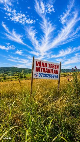 Teren de 1630 mp, în Luizi-Călugăra