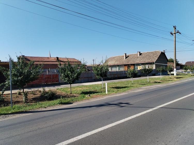 Casă cu 4 camere în Macea