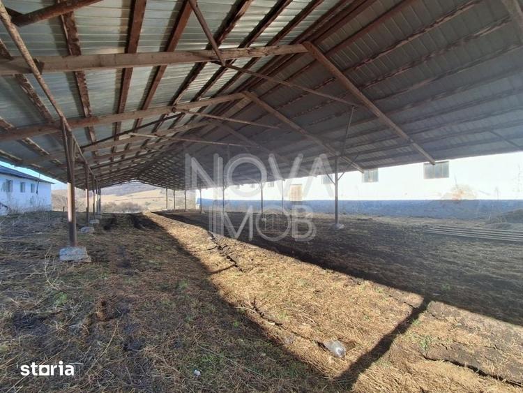 Ferma complet echipata de vanzare zona Agnita, judetul Sibiu - 6