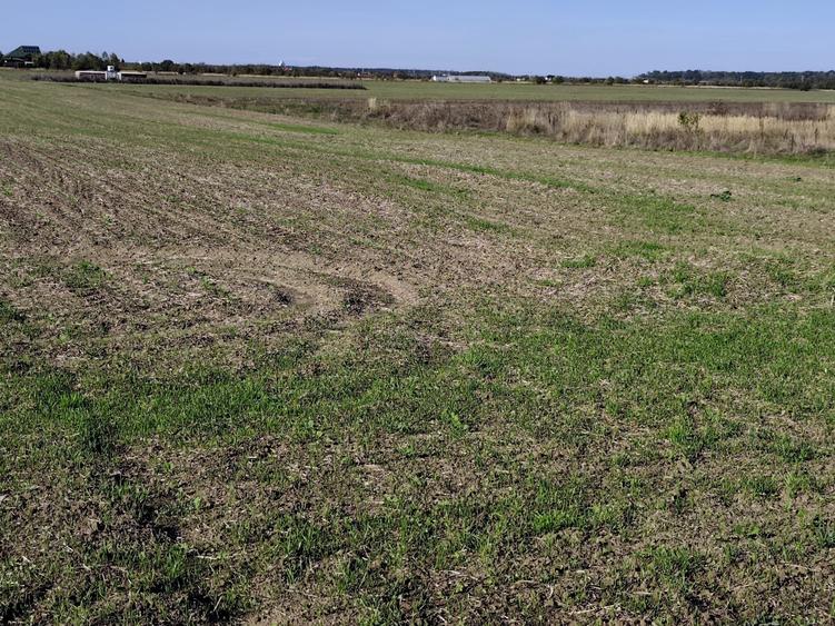 Teren agricol extravilan de 5054 mp, în Săbăreni