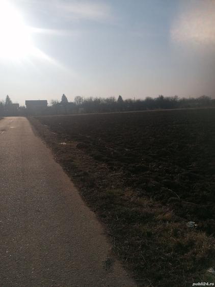 Teren de 7300 mp, în Ciorogârla