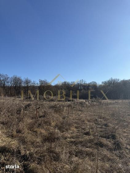 Teren de 3000 mp, în Făget