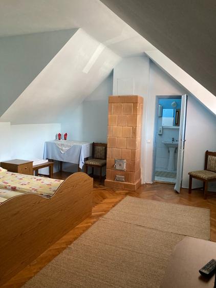 Vilă istorică de vânzare  Castel Aura Buzescu Bușteni  str. Victoriei nr. 11 - 22