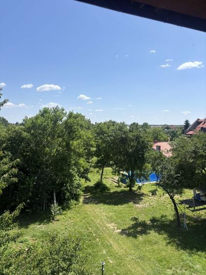 Teren Construcții intravilan de 8000 mp, în Ghermănești