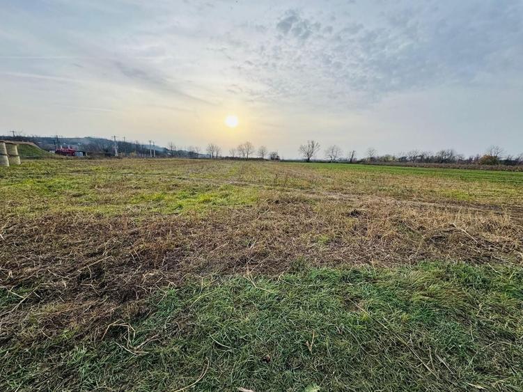 Teren intravilan de 7620 mp, în Diosig