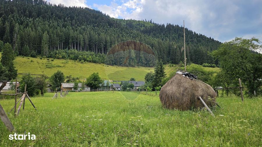 Teren de 4822 mp, în Sadova