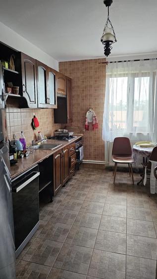 Casă cu 5 camere cu Teren 420 Mp în Paltin