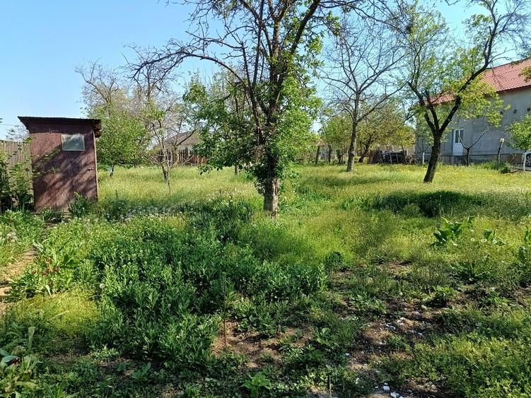 Casă cu 3 camere în Central