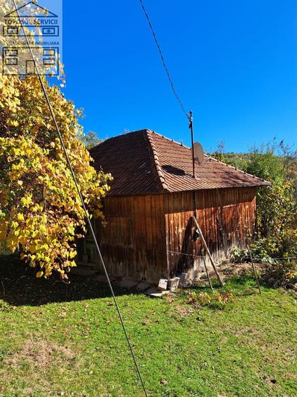 Teren Construcții extravilan de 51000 mp, în Bulz