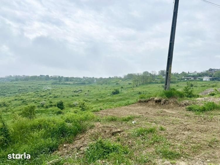 Teren Aroneanu Str Sarata, lot 1.100 mp 175 mp Cota Drum, Lac Doroban? - 4