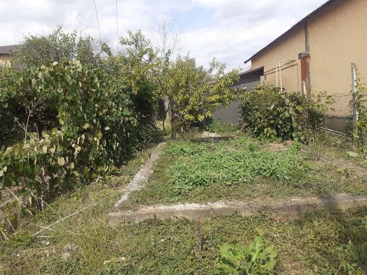 Teren de 1864 mp, în Zamfira