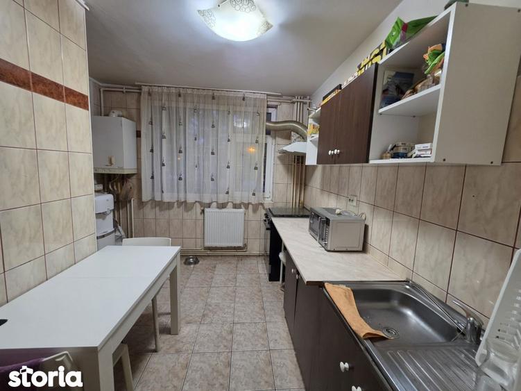 Titan, 10 minute metrou Costin Georgian, Barajul Bistritei, centrala - 17