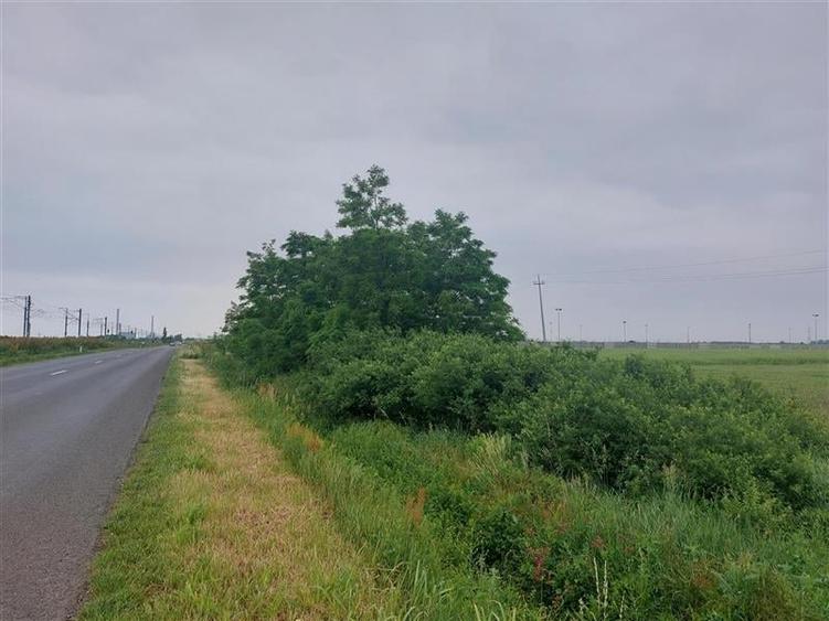 Teren agricol extravilan de 40700 mp, în Exterior Nord