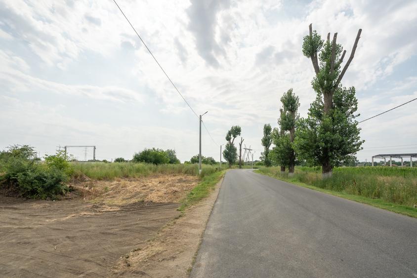Teren Construcții intravilan de 30000 mp, în Cernica